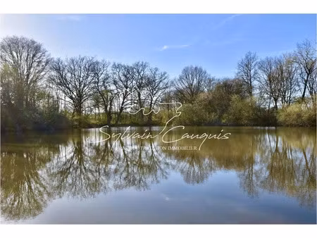 vente propriété 8 pièces 157 m² à saint-brisson-sur-loire (45500)  668 000 €