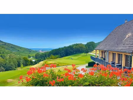 vente appartement 1 pièce 20.86 m² à ammerschwihr (68770)  47 490 €