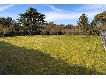 vente terrain à moncé-en-belin (72230) : à vendre / 797m² moncé-en-belin