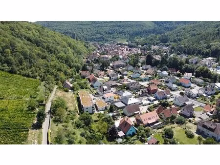 vente terrain 491 m² kaysersberg-vignoble (68240)