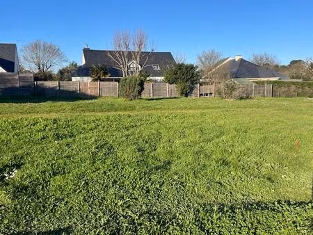 terrain constructible