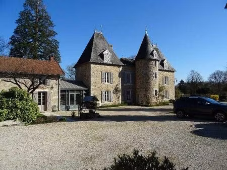 vente maison 11 pièces 280 m² saint-hilaire-les-places (87800)