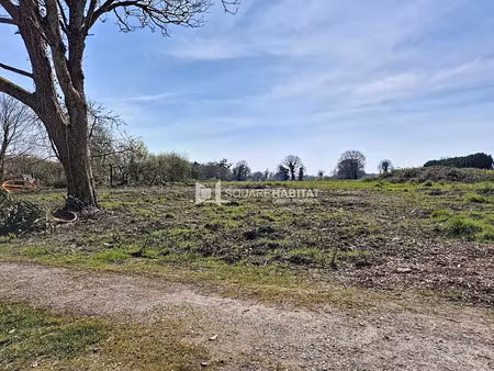 vente terrain à saint-père (35430) : à vendre / 480m² saint-père