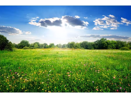 vente terrain 404 m² à semussac (17120)  70 000 €