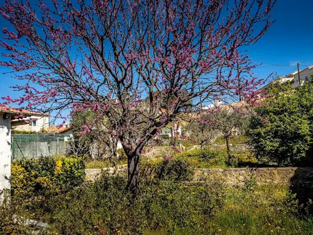 vente terrain 560 m² à marseille 9ème (13009)  580 000 €