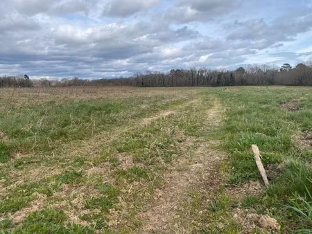 vente terrain 1050 m² à langon (33210)  87 000 €