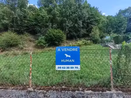 vente terrain 1046 m² à luz-saint-sauveur (65120)  69 000 €