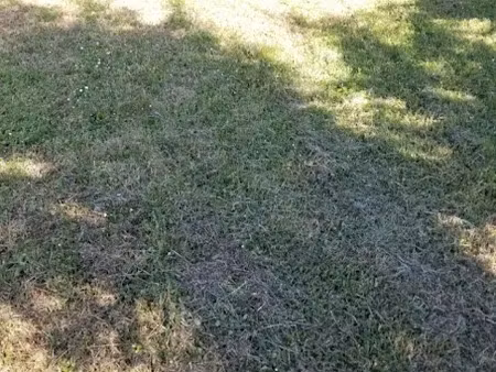 vente terrain 760 m² à sadirac (33670)  120 000 €