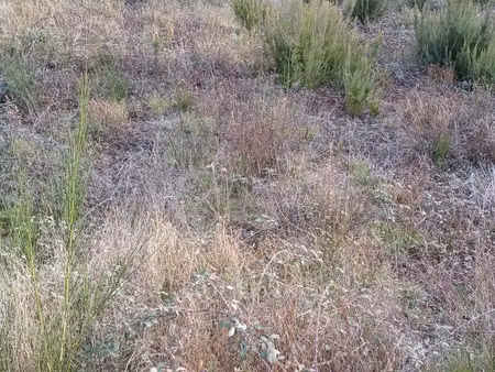 vente terrain 280 m² à cabestany (66330)  149 000 €
