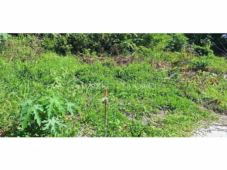 vente terrain 402 m² à sainte suzanne (97441)  141 700 €