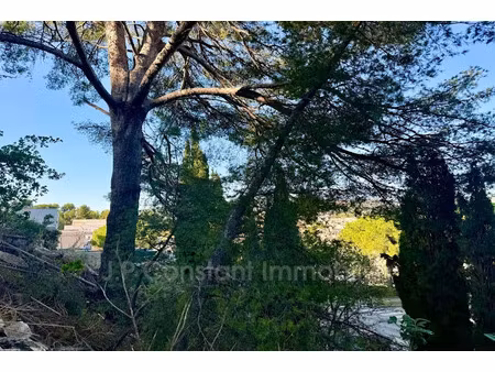 vente terrain à la ciotat (13600)  258 000 €