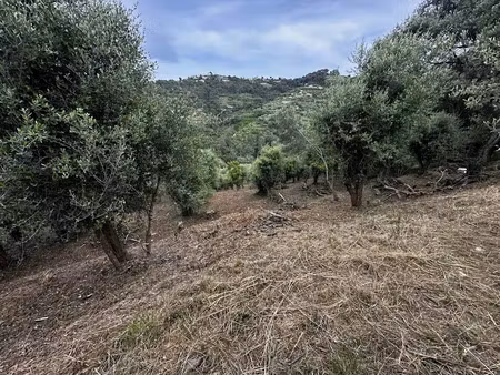 vente terrain à batir 2450 m² à nice (06000)  399 000 €