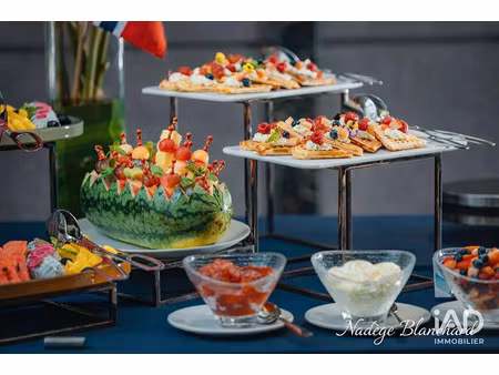 vente locaux professionnels 1600 m² à surgères (17700)  176 000 €