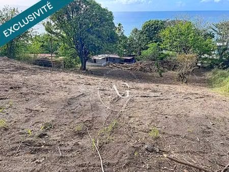 terrain rare 1800 m² - vue mer - saint-pierre