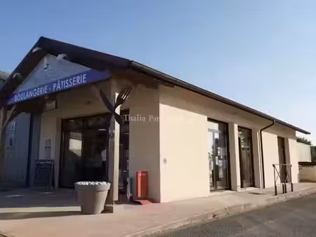 vente locaux professionnels 0 pièces 270 m² à vivy (49680)  490 000 €