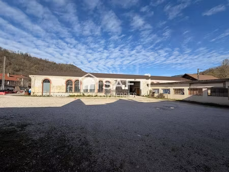 vente immeuble 1200 m² à saint-geoire-en-valdaine (38620)  600 000 €