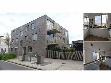 appartement à louer à catharina lundenhof 39 hoboken (rbv50444)