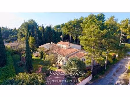 villemoustaussou - villa pinede - piscine