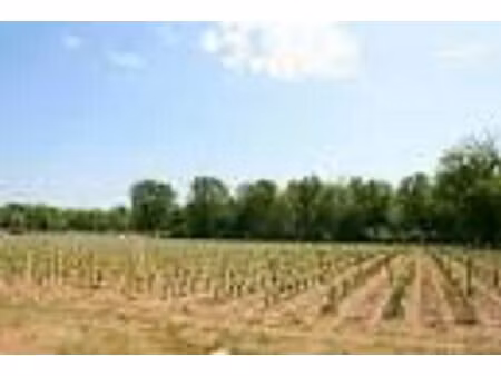 terrain à bâtir à cérons (33720)