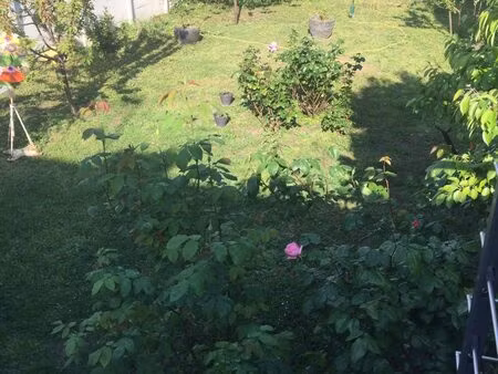 achat maison 5 pièces 140m² bois colombes 92270