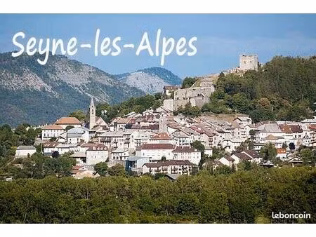 seyne appartement meublé