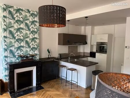 t3 meublé 60m2 en centre ville - charmant et lumineux