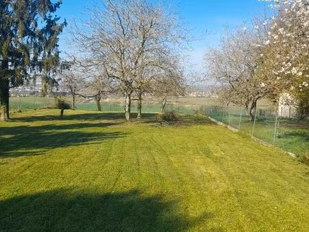 terrain constructible