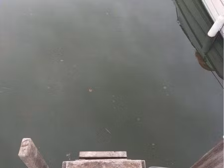 place de port cannes marina