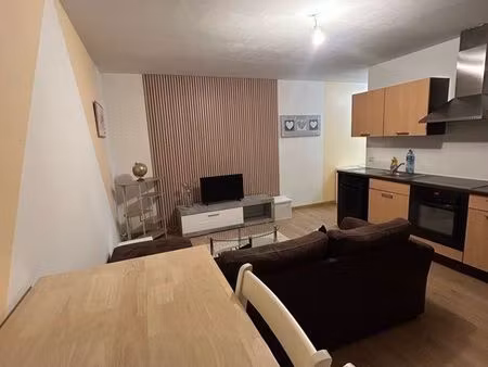appartement t2 rénové  meublé