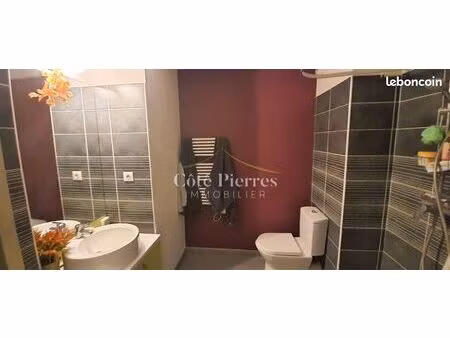 studio t1 montpellier à louer 670 cc