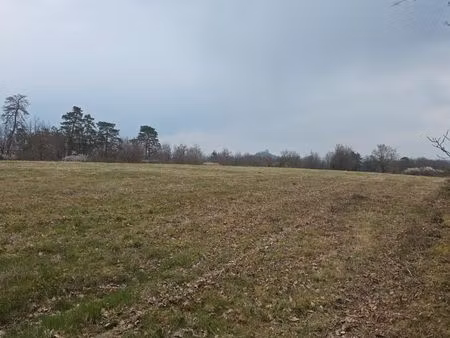 loue pre de 15000m²