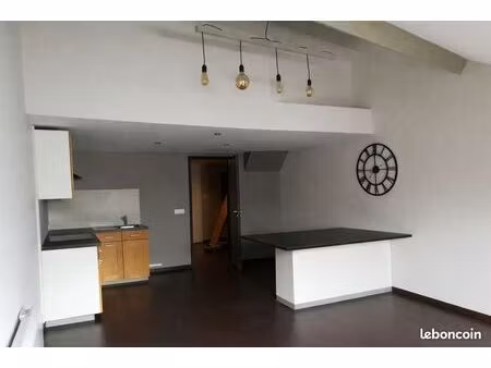 appartement t2 hyper centre remiremont