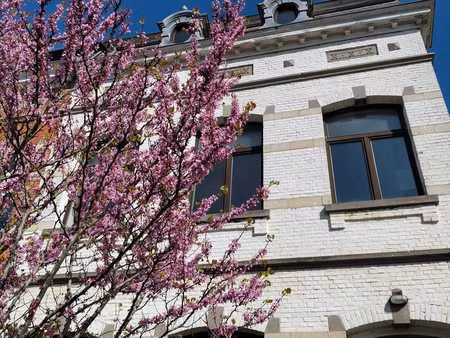 appartement 1 chambre  chaumont-gistoux (c)