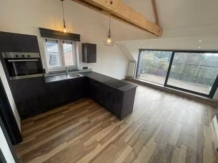 appartement 2 chambres avec poutres apparentes