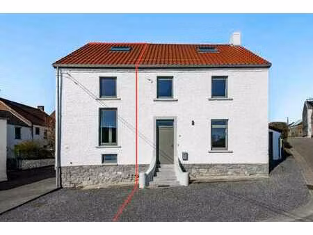 superbe bien d'exception entièrement rénové avec jardin