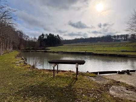 terrain avec étang à florennes 43 caractères