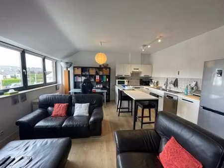 agréable appartement 1 chambre