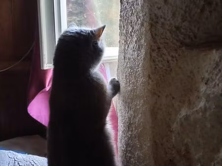 cherche appartement sur nice et environs