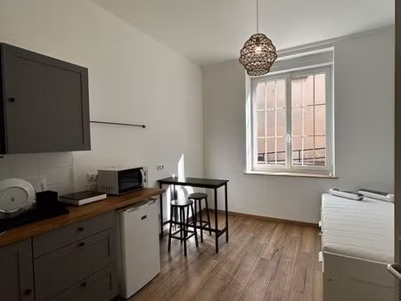 studio croix rousse 15 m2