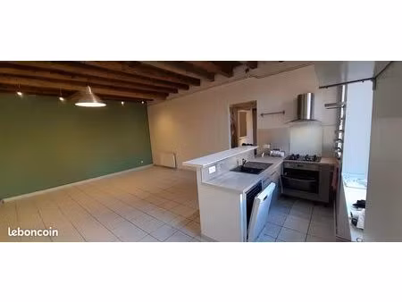 spacieux t2 62 m² – vieux lyon – vue dégagée et calme