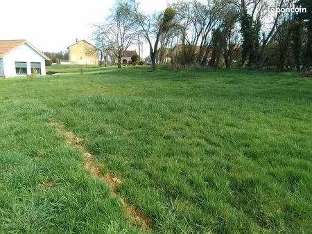 terrain constructible