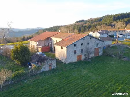 maison avec grand terrain  dépendances et vue dégagée