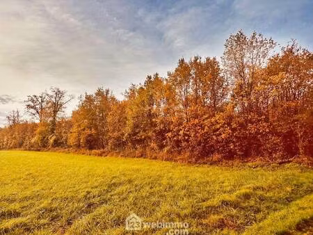 terrain à vendre
