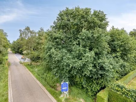 terrain à vendre à tessenderlo € 145.000 (lmc2f) - bosman vastgoed | zimmo
