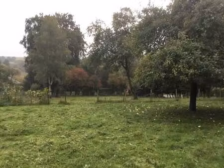 beau terrain à vendre à longlier ( province de luxembourg )