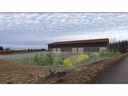 ncbc l'immobilier d'entreprise