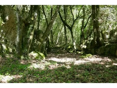 terrain agricole et de loisirs