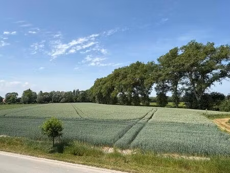 maison à vendre à lapscheure € 529.000 (lmbyd) - bonne vastgoed | zimmo