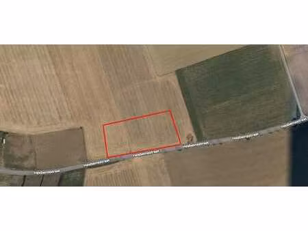 cpas - terrain agricole à tongres