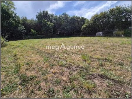 typhaine jacob consultant megagence